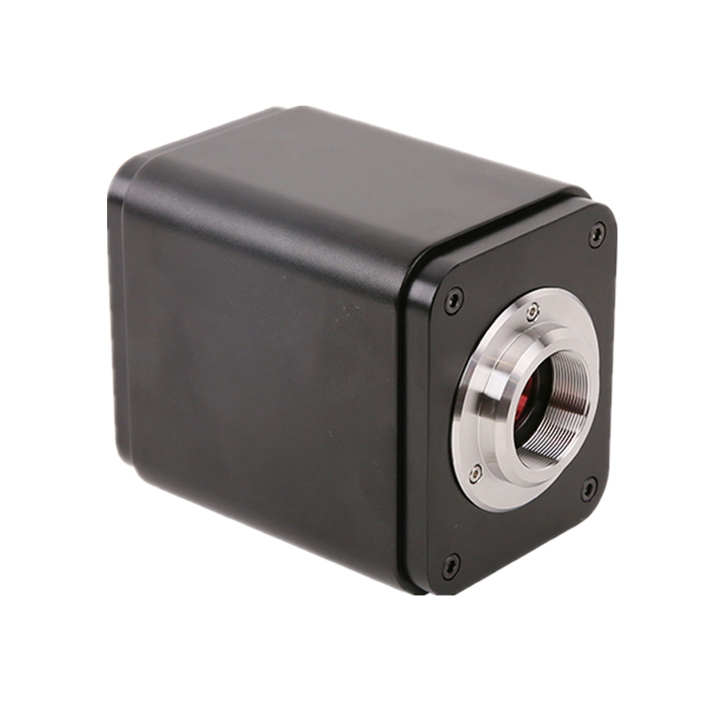 16mp 30FPS 4K Imx283 Sensor Di - Usb Microscope Digital recensione e prezzo